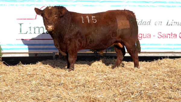 CORRAL 02 – MF. 115