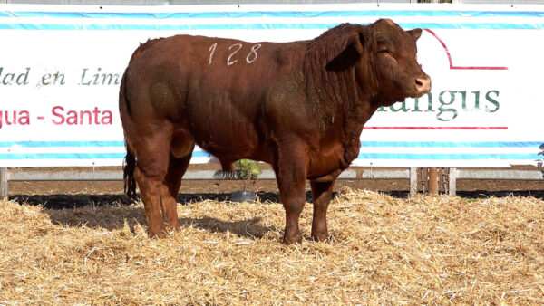 CORRAL 12 – MF. 128
