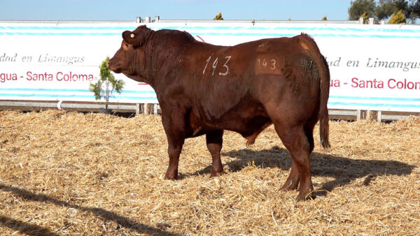 CORRAL 25 – MF. 143