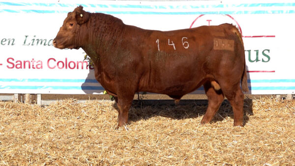 CORRAL 36 – MF. 146