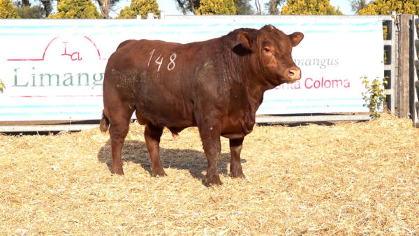 CORRAL 30 – MF. 148