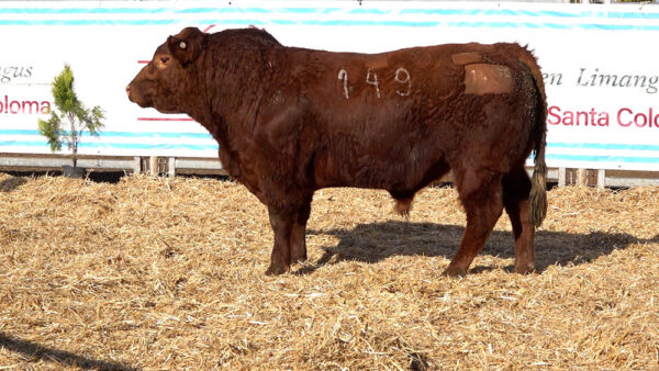 CORRAL 26 – MF. 149