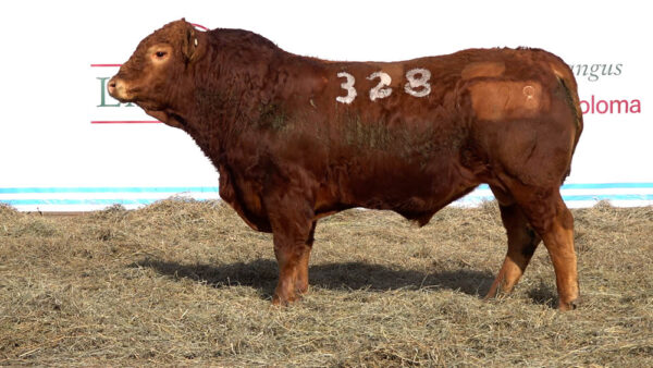 CORRAL 06 – MF. 328
