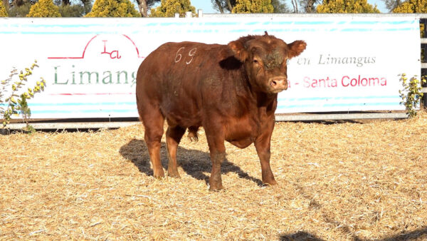CORRAL 32 – MF. 69