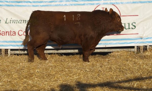 CORRAL 30 - N. 118