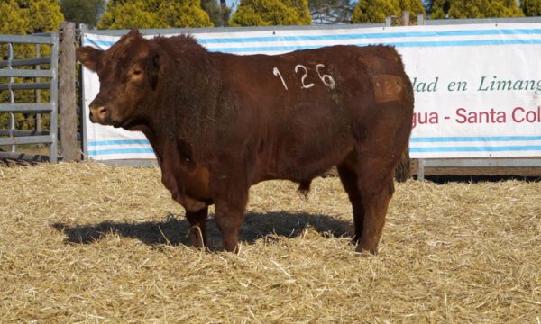 CORRAL 03 - N. 126