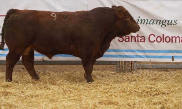 CORRAL 46 - N. 93